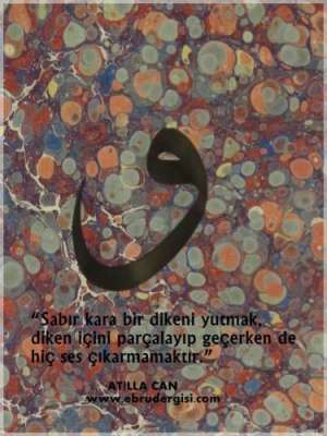 MANİDAR  SÖZ VE EBRU