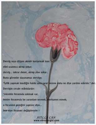 MANİDAR  SÖZ VE EBRU