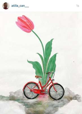 DOĞAL LALE (TULIPPA)