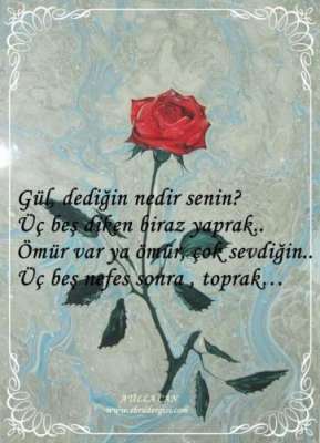 MANİDAR  SÖZ VE EBRU