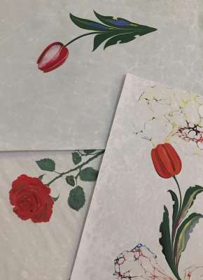 DOĞAL LALE (TULIPPA)