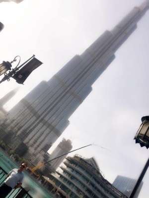 FESTİVAL VE ORGANİZASYONLAR