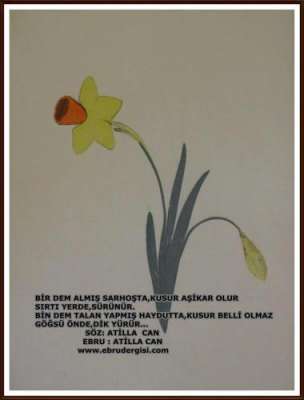 YAZILI-RESİMLİ EBRULAR