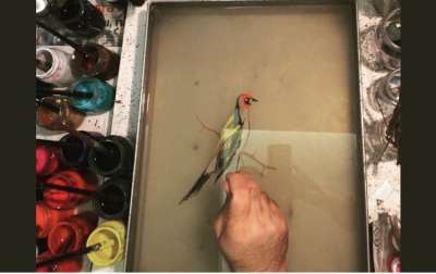 Hayvan Figürlü Ebrular