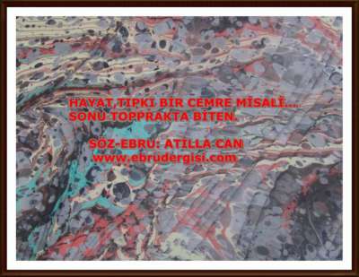 YAZILI-RESİMLİ EBRULAR