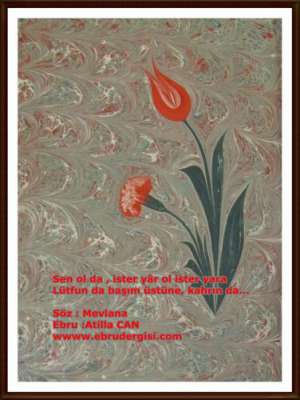 YAZILI-RESİMLİ EBRULAR