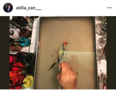 YAZILI-RESİMLİ EBRULAR