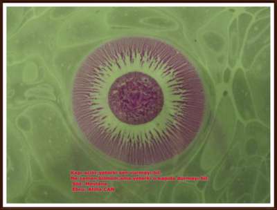 YAZILI-RESİMLİ EBRULAR