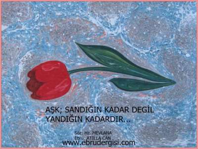 YAZILI-RESİMLİ EBRULAR