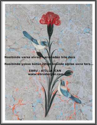 YAZILI-RESİMLİ EBRULAR