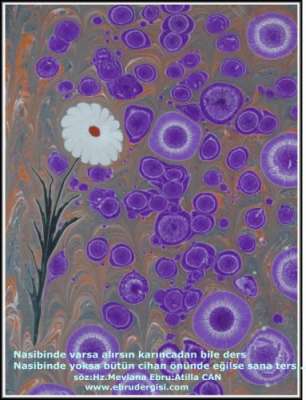 YAZILI-RESİMLİ EBRULAR