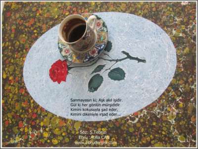 YAZILI-RESİMLİ EBRULAR