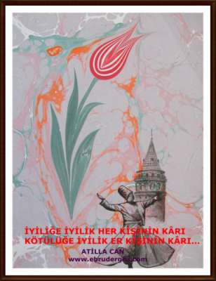 YAZILI-RESİMLİ EBRULAR