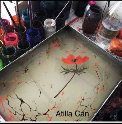 Anemon Yabani Dağ Lalesi