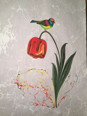 DOĞAL LALE (TULIPPA)