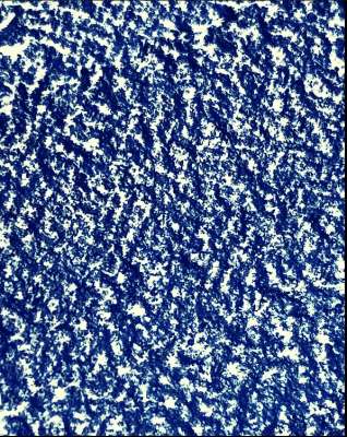 Kumlu-Kılçıklı Ebru