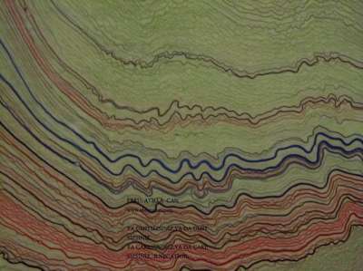 YAZILI-RESİMLİ EBRULAR