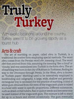 FESTİVAL VE ORGANİZASYONLAR