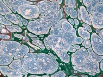 Neftli Battal Ebru (Edhem Efendi Battalı)