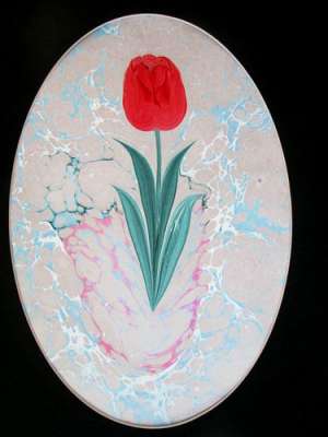 DOĞAL LALE (TULIPPA)