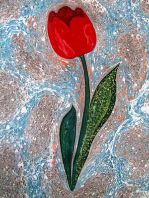 DOĞAL LALE (TULIPPA)