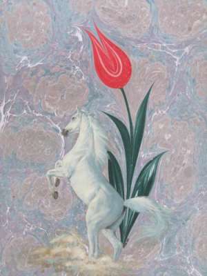 YAZILI-RESİMLİ EBRULAR